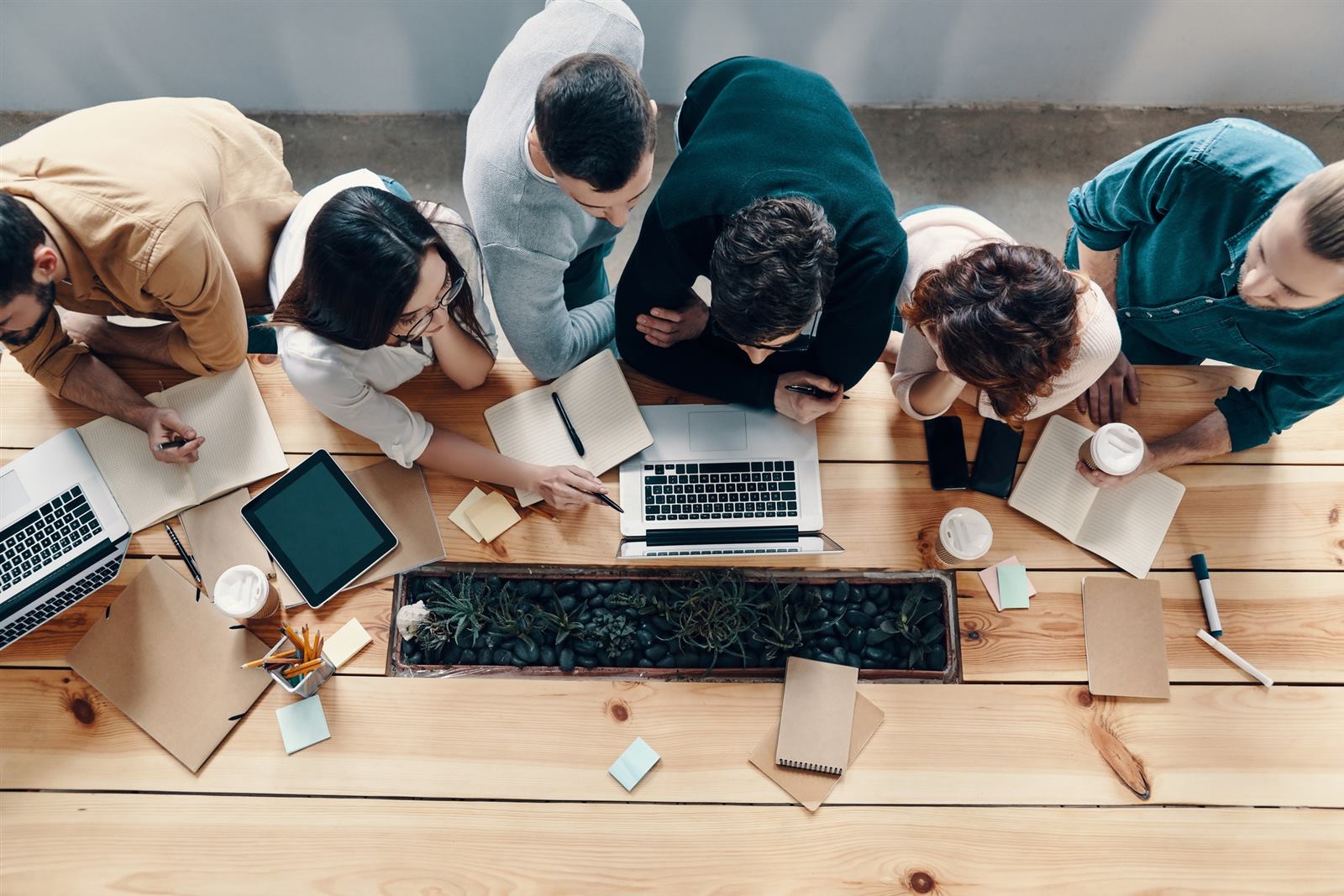 Local SEO — Ace Consultants
